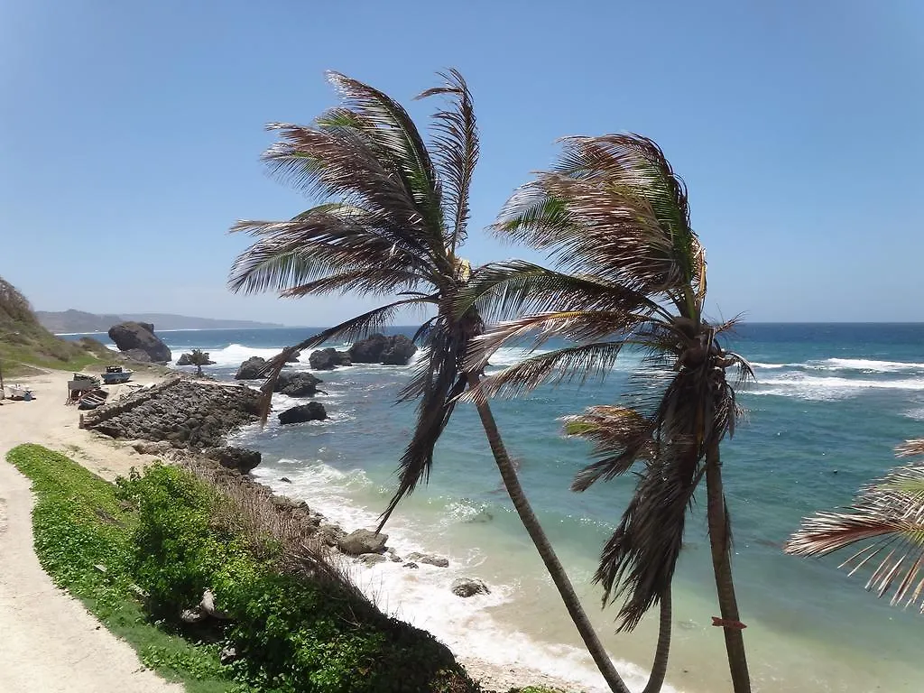The Atlantis Historic Inn Saint Joseph 3*,  Barbados